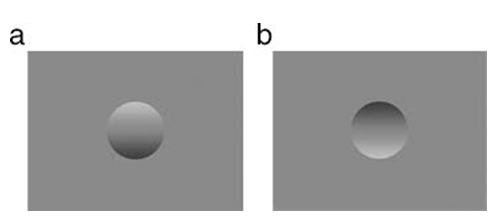 un rettangolo con due cerchi delle stesse dimensioni con ombreggiature diverse