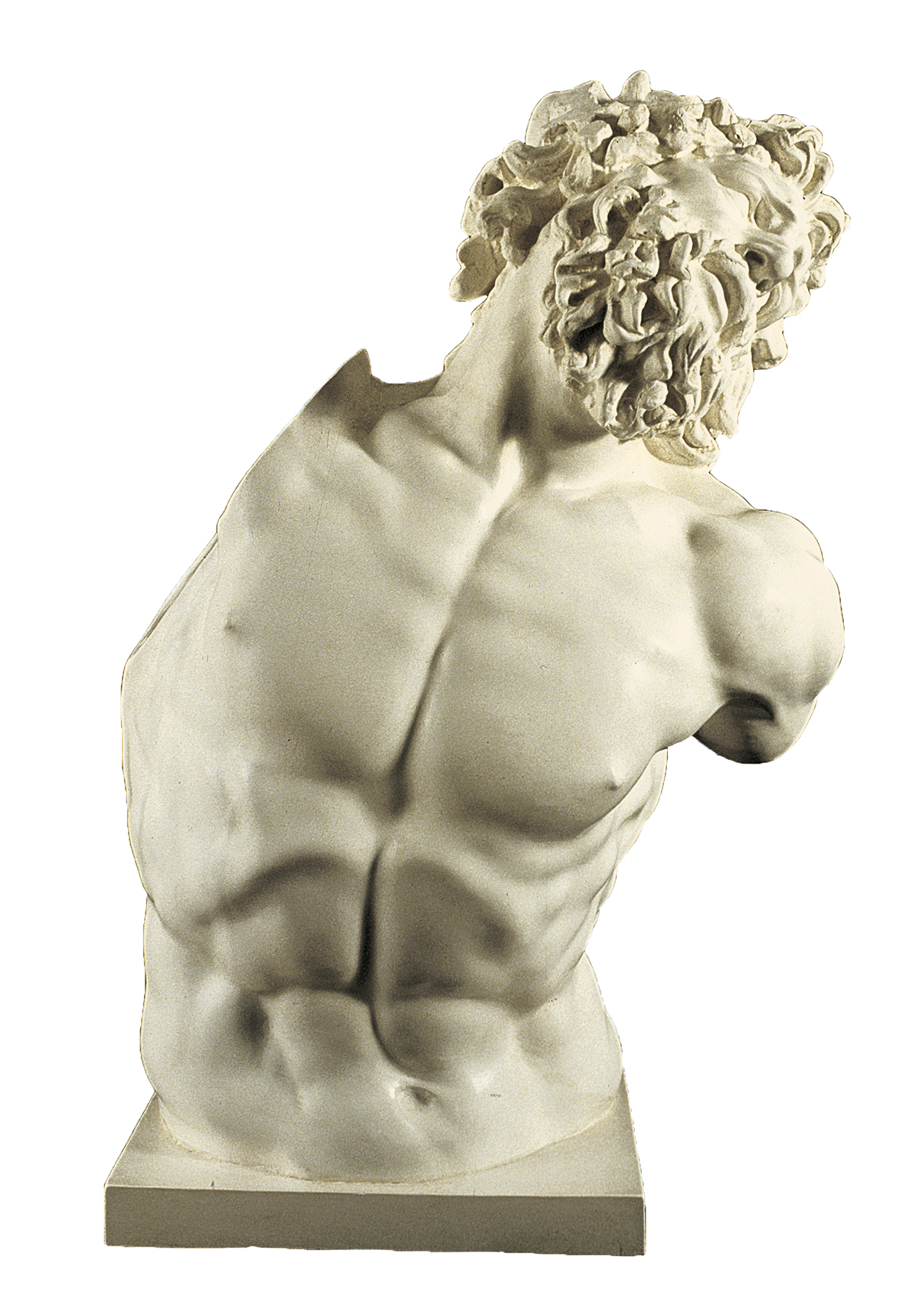 Bust of Laocoon (cast in plaster)