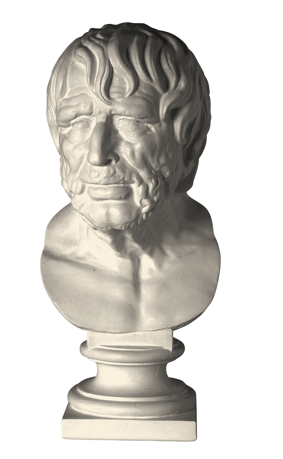 Head of the pseudo Seneca (cast in plaster)