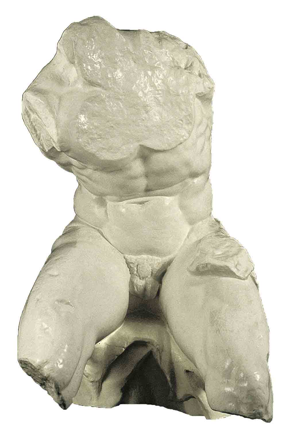 Torso del belvedere (copia in gesso)