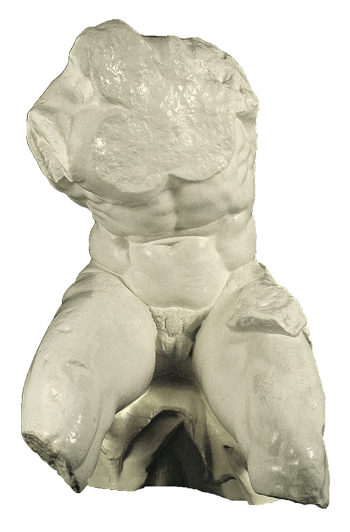 The Belvedere Torso (cast in plaster)