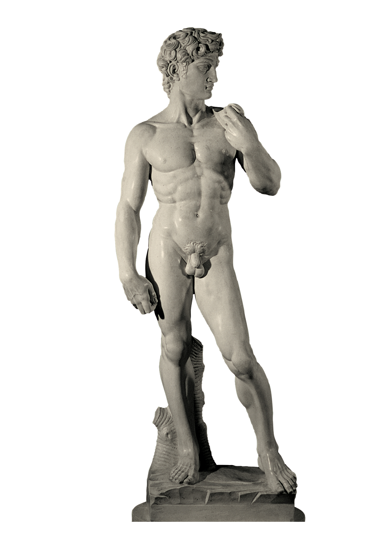 Michelangelo’s David (cast in plaster)