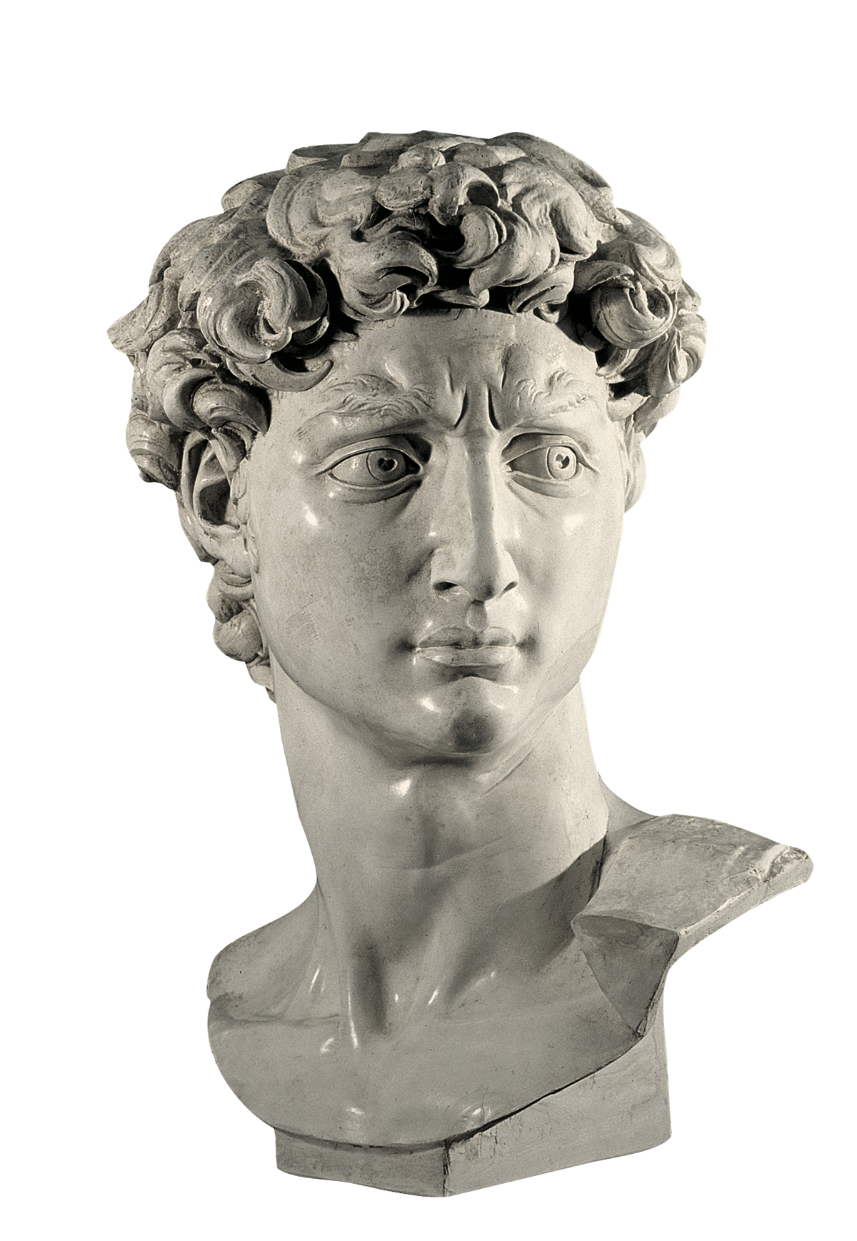 Head of Michelangelo's David (cast in plaster)