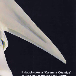 Oltre il limite, Il viaggio con la Calamita Cosmica di Gino De Dominicis (2000 - 2010)