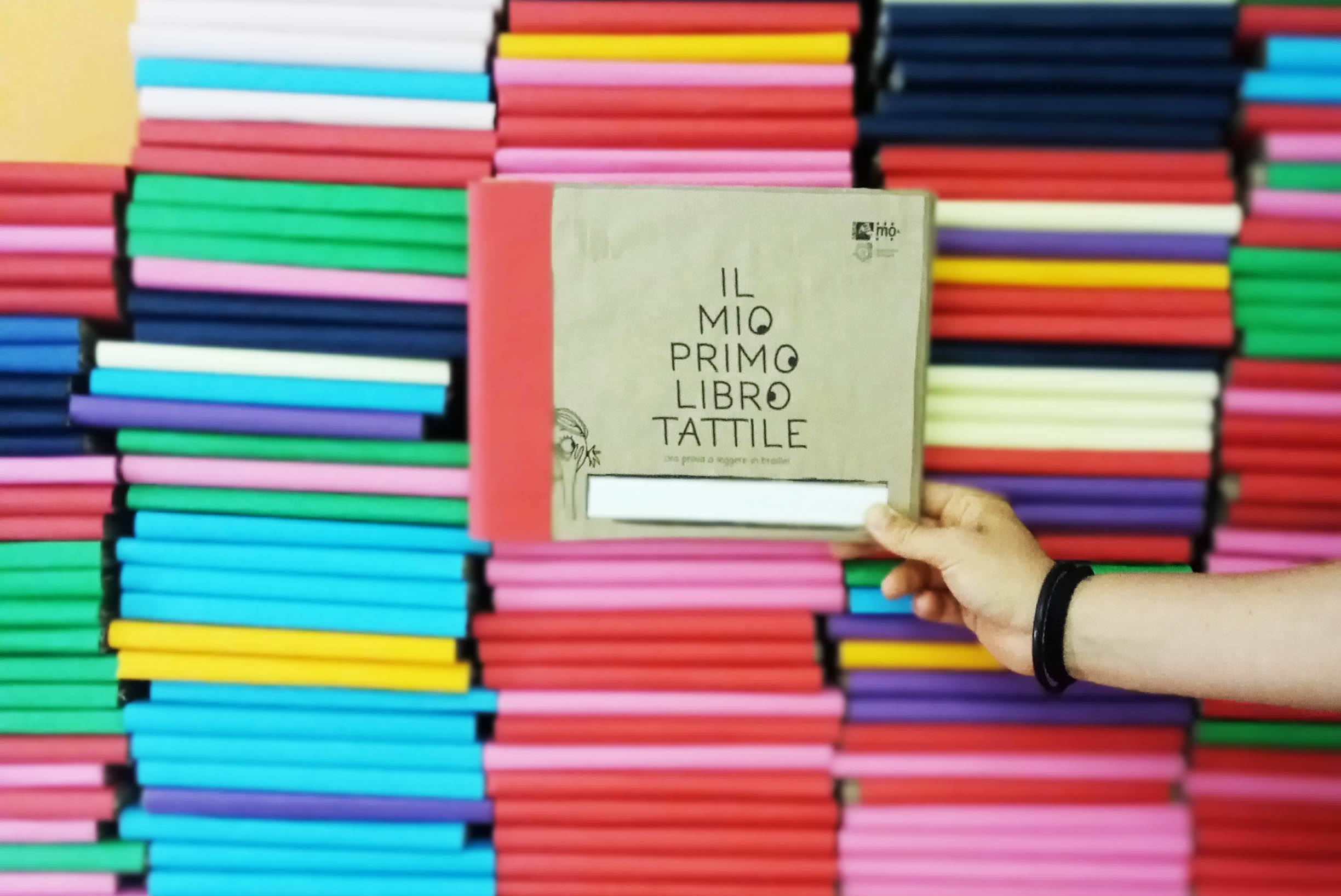 Libri tattili
