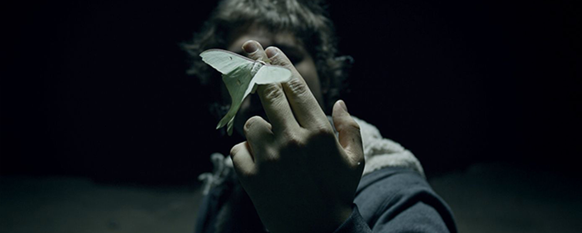 foto di Giorgio Andreotta Calò per la Diciottesima Giornata del Contemporaneo, Icarus, 2021 - 2022. farfalla che si appoggia su un dito del ragazzo