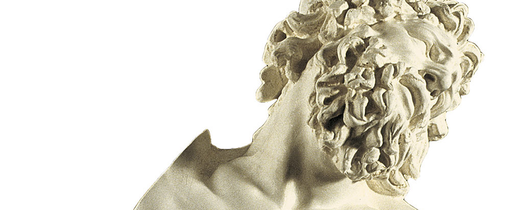 volto del Laocoonte, copia ingesso del capolavoro greco in marmo