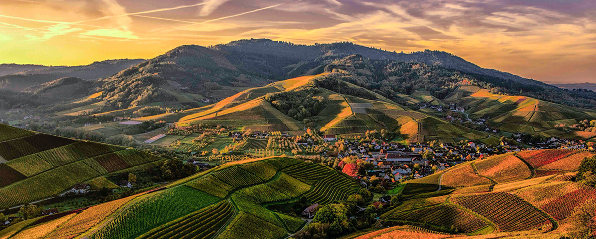 Foto panoramica di un paesaggio collinare al tramonto