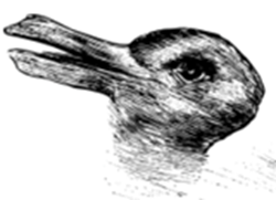 testa di anatra o coniglio in inchiostro nero: dipende da come si guarda